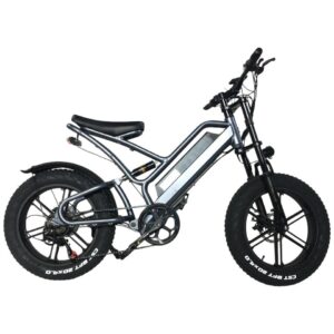 Super Bike Sport 1000w