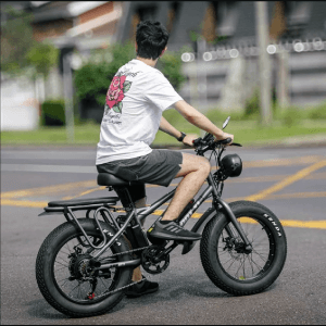 Two Dogs Bigfoot T1 750w