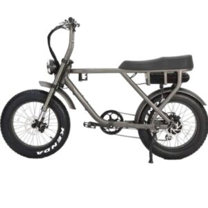 Super Bike Extra Quality 750w
