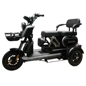 Triciclo Wanshida U3 1000W 3 Lugares capa
