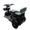 Triciclo Wanshida U3 1000W 3 Lugares