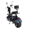 Scooter Elétrica Citycoco WD4 Sport 1000W