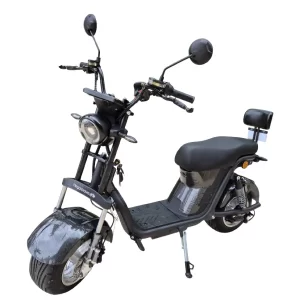 Scooter Elétrica Citycoco X12 1000W Plus cinza cromo