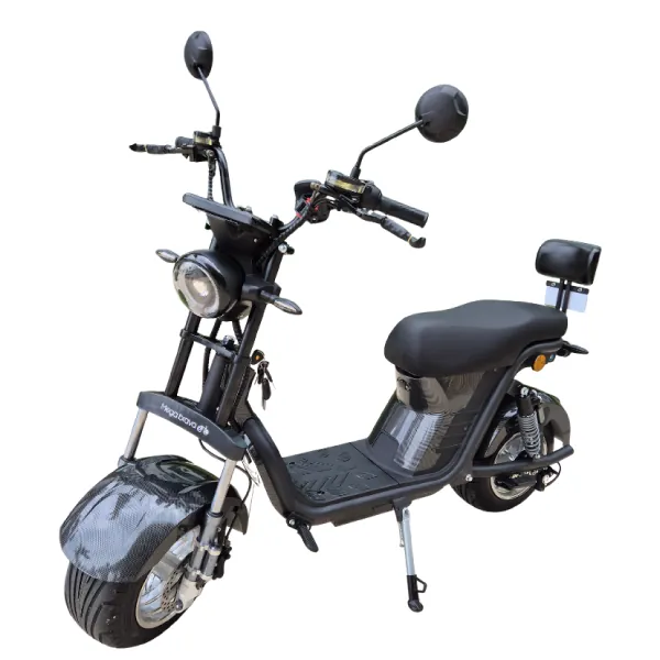 Scooter Elétrica Citycoco X12 1000W Plus cinza cromo
