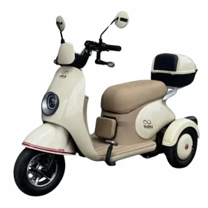 Triciclo elétrico SUDU A3T 800W bege na Mega Brava