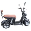 Scooter Elétrica Citycoco X15 1000W