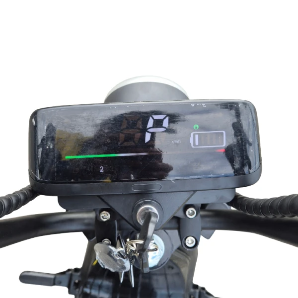 Scooter Elétrica Citycoco X15 1000W