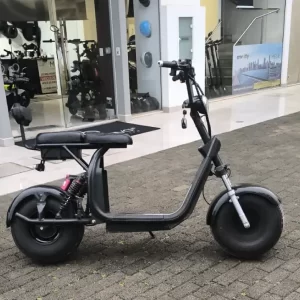 Scooter Elétrica Citycoco 1000W mega brava seminova