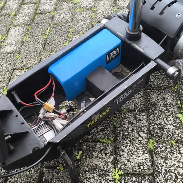 Patinete Elétrico Two Dogs 1000W