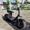 Scooter Elétrica Citycoco 1000W seminova