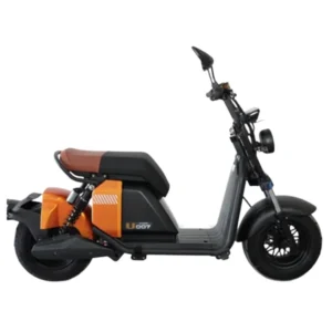 Scooter Elétrica U007 Sport 1000W robusta