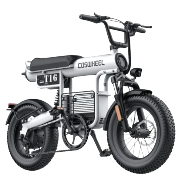Bicicleta Elétrica COSWHEEL T26